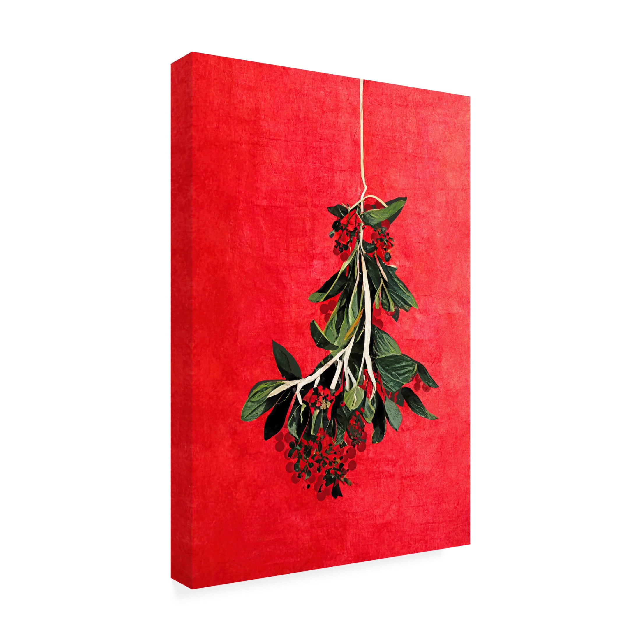 Canvas Wall Art - Treechild 'Painted Mistletoe' Wall Art for Living Room, Bedroom, or Office D?cor by Trademark Fine Art - 30 x 47 Inches