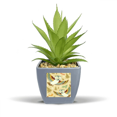 thumbnail image 1 of Lovely Birds Owls Floral Patterns Fake Pineapple Flower Pot Vase Mini Decor, 1 of 3