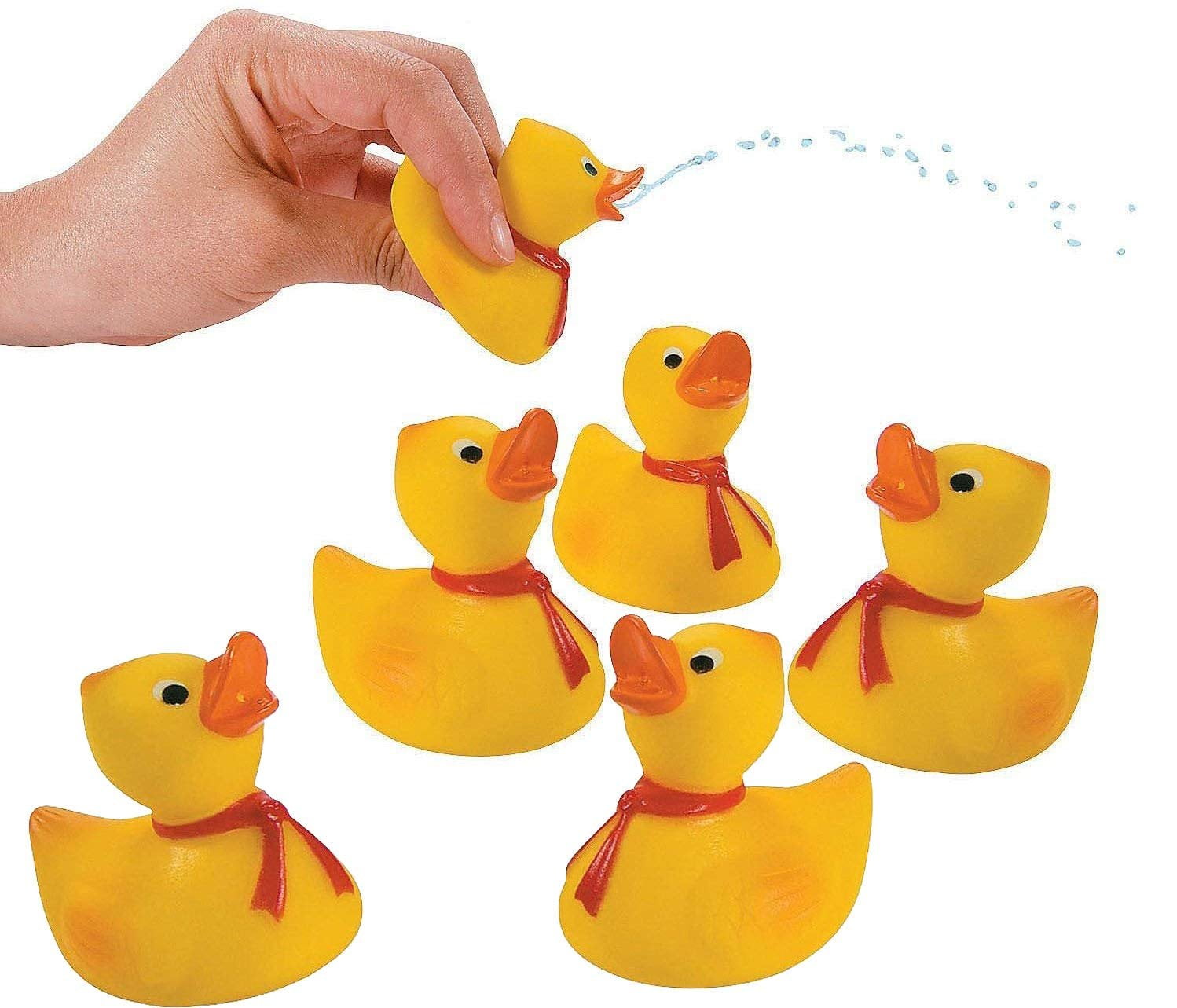 funny rubber ducky