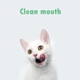 thumbnail image 4 of Snacks Juguete Para Gatos Matatabi Stick Cepillo Para Molares Limpieza Mascotas Otros, 4 of 8