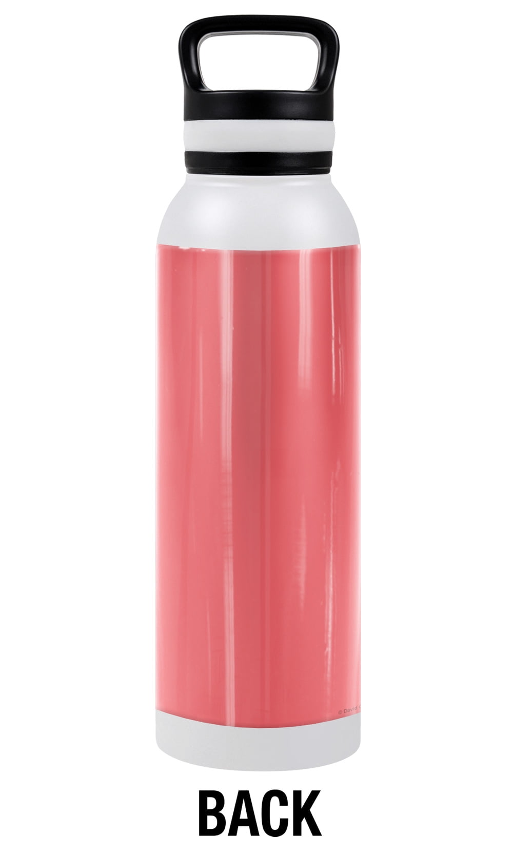 bCreative - David Olenick Official Delighted 24 oz Insulated Canteen Water Bottle, Leak Resistant, Vacuum Insulated Stainless Steel with Loop Cap