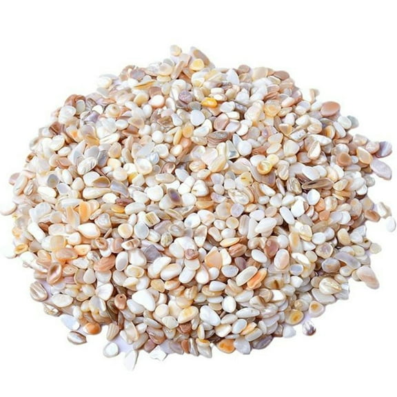 Natural Shell Gravel Pebbles,1.1lb Decorative Aquarium Gravel Pebble River Rock Stones for Vase Filler, Plant Pots, Landscaping, Aquariums, Home and Garden