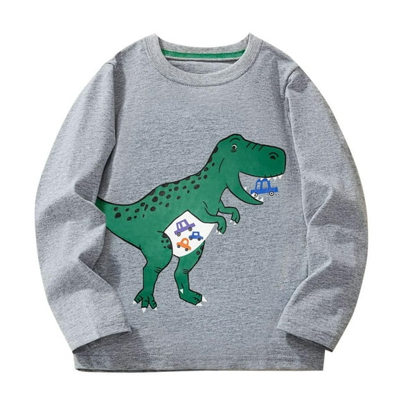 Eltusu Long Sleeve Tops for Boys, Crew Neck Pullover Comfy Cotton Graphic Tees Gray Size 6-7 T
