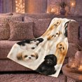 thumbnail image 6 of Illustrated Shih Tzu Dogs Collage Paw Prints, Cozy Pet Portrait Pattern, Warm Flannel Blanket for Living Room and Bedroom, Dog Lovers Just Because Gift, Pet Lover Home Decor, 6 of 9