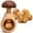 1pcs, variant on Wooden Nutcracker Tool - Manual Walnut Cracker with Screw Press for Hazelnuts, Pecans, Compact Mushroom Shaped Kitchen Gadget