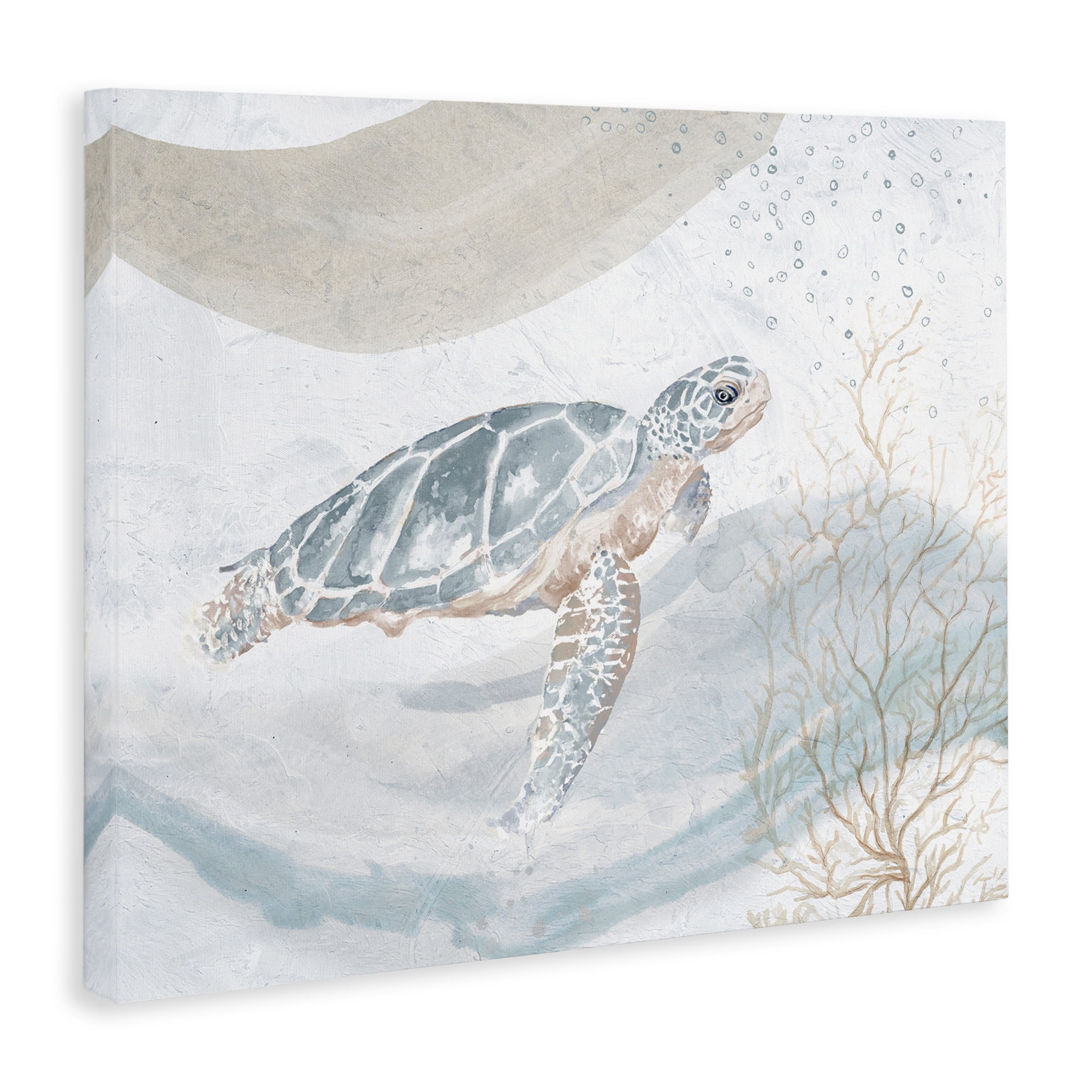 Stupell Industries Turtle Watercolor Style Animals & Insects Painting Gallery Wrapped Canvas Art Print Wall Art, 40 x 30
