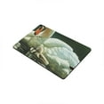 thumbnail image 2 of CADecor Swan Doormat Indoor Outdoor Floor Rug 30x18 inches, 2 of 2