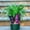 Multicolor D, variant on WWV Wall Mounted Iron Cylinder Garden Decoration Outdoor Fence Hanging Bucket Wrought Metal Wall Art for Balcony Home Yard Decor
