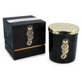 thumbnail image 2 of Harry Potter Dark Arts Premium Scented Soy Wax Candle, 2 of 7