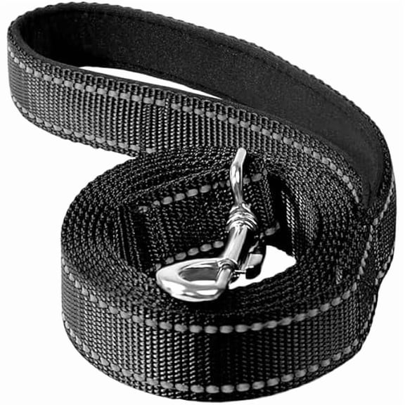 Eryueer Reflective Dog Leash 4ft Soft Padded Handle Nylon Lead for Small & Medium Dogs, Durable Walking Training Leash for Night Safety (Black,3/4Inch Wide)