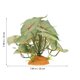 thumbnail image 2 of FUTUREORYY Planta Artificial Para De Terrario Y Acuario Reptil, 2 of 6