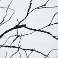thumbnail image 2 of Nearly Natural Pre-Lit Halloween Black Twig Artificial Tree - 8' - Multicolor LED Lights, 2 of 4
