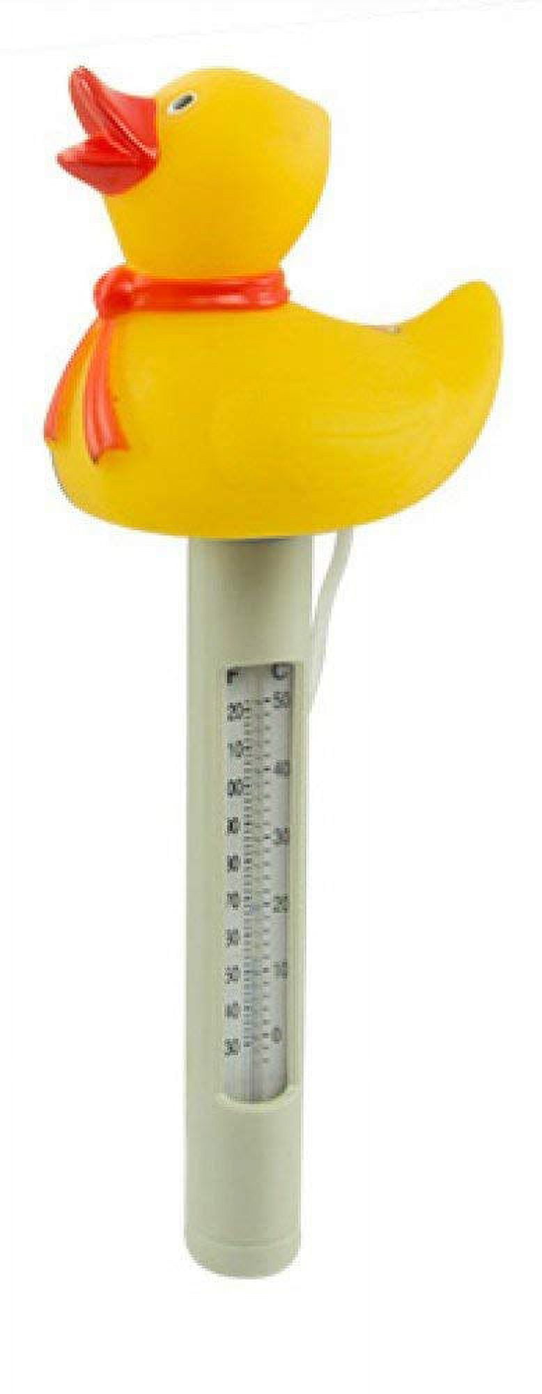 Swim N Play Deluxe Pool Maintenance Kit for Above Ground Swimming Pools - 33' Hose