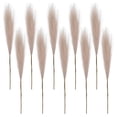 thumbnail image 5 of Sunjoy Tech 10Pcs Faux Pampas Grass Decor Flower Arrangement Art Vase Filler Artificial Pompous Grass Wedding Party Scene Arrangement Boho Style Home Decoration, 5 of 8