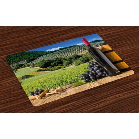 Wine Placemats Set of 4 Idyllic Tuscany Country Landscape Agriculture Harvest Grape Plantation, Washable Fabric Place Mats for Dining Room Kitchen Table Decor,Black Green Pale Brown, by (Best Place To Stay In Tuscany With Kids)