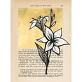 thumbnail image 2 of Lam, Vanna 19x24 White Modern Wood Framed Museum Art Print Titled - Floral Diary I, 2 of 4