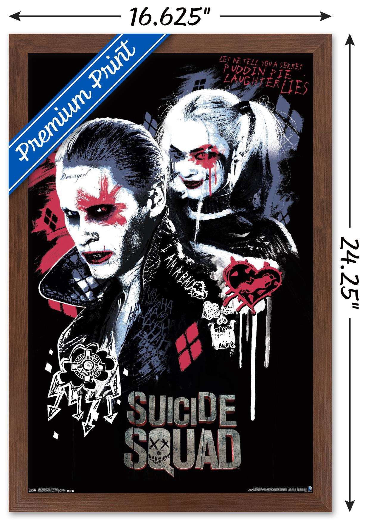 DC Comics Movie - Suicide Squad - Twisted Love Wall Poster, 14.725" x 22.375", Framed
