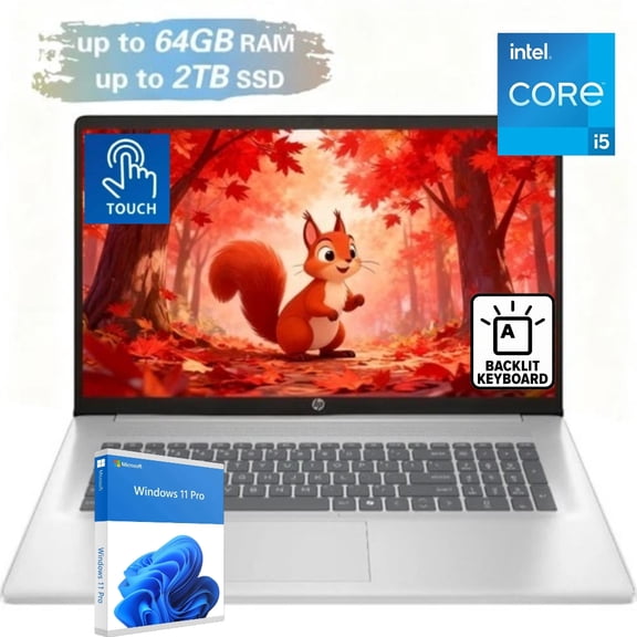 HP Portable Laptop, 17.3" HD Touchscreen, Intel Core i5-1335U, 32GB RAM, 1TB SSD,Backlit KB, Webcam, HDMI, Wi-Fi 6, Windows 11 Pro, Silver