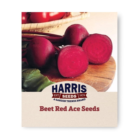 Harris Seeds Red Ace F1 Beet, Non-GMO Round Red Root Variety for Garden, Treated, 250 Count