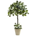 thumbnail image 1 of Nearly Natural 6820 Stephanotis Topiary 3 Pouces avec Jardinière, 1 of 3