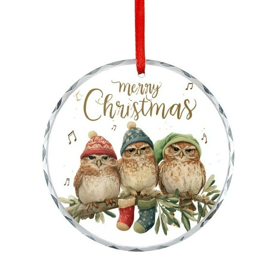 Family of 3 Owl-3 Glass Ornament for Xmas Tree Christmas Ornament Round Glass