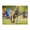 500 Pieces, variant on 500-Piece Wooden Jigsaw Puzzle for Adults - Dog Running Playground Lawn , Fun & Relaxing Interlocking No-Dust Puzzle for Family, Home Decor & Holiday Gifts