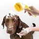 thumbnail image 4 of Cepillo de baño para gatos con presión para liberar líquido. Herramienta de limpieza para el baño de mascotas. Cepillo de baño., 4 of 6
