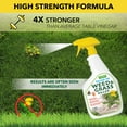 thumbnail image 6 of Harris Sea Salt 10X Weed & Grass Killer, 32 oz., 6 of 6