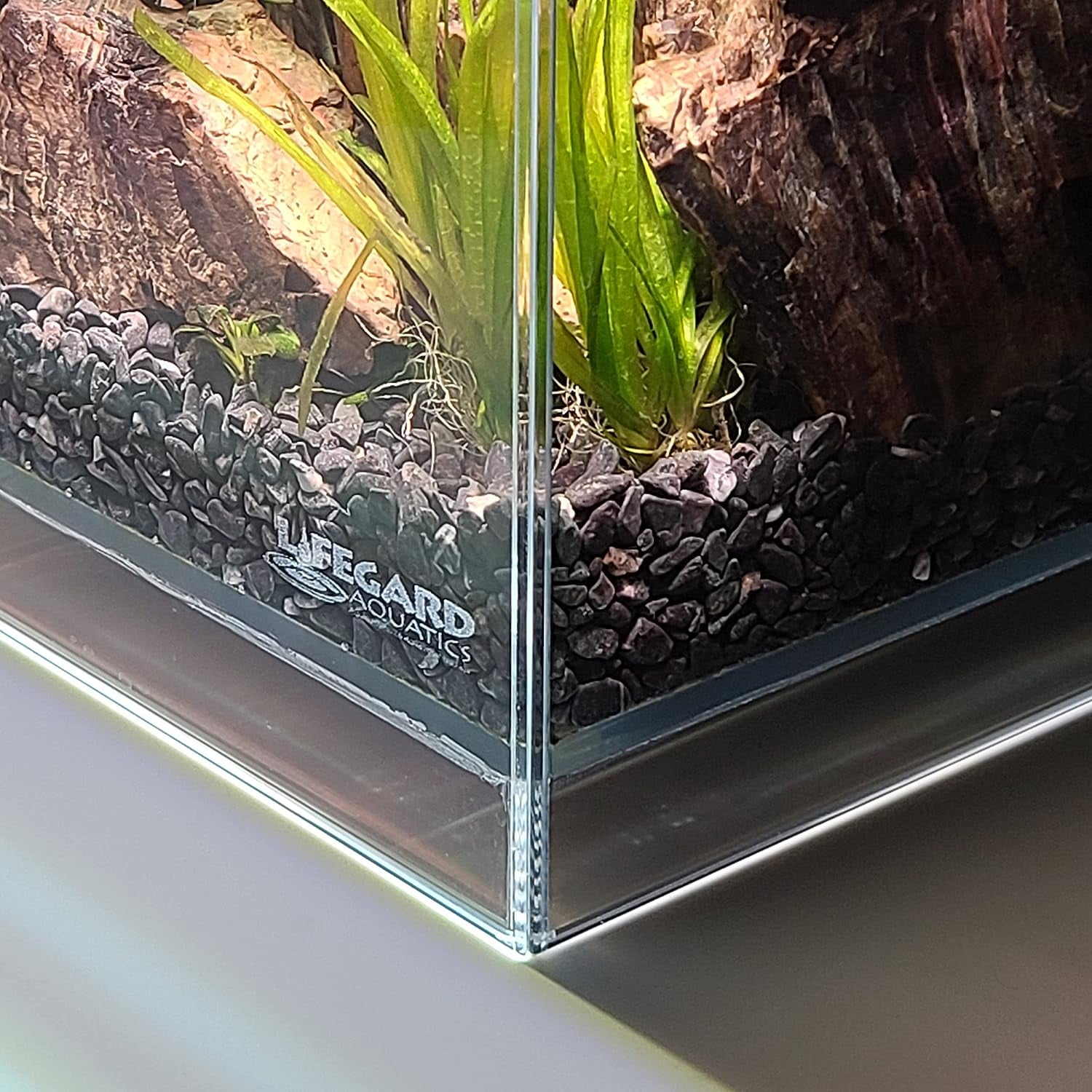 LIFEGARD Low Iron Ultra Clear Crystal Aquarium with Built in Filter – Rimless Glass, Beveled Edge, Elevated Style – Direct Jet Flow – 2.65 GPH