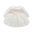 thumbnail image 2 of iiniim Infant Baby Girls Princess Tulle Dress 1st Birthday Party Dress Wedding Bridesmaid Dress with Hat, 2 of 7