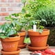 thumbnail image 5 of 100 Unidades De Etiquetas De Plástico Etiquetas Para Jardín Etiquetas Para Jardinería Etiquetas Para Suelo, 5 of 7