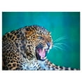 thumbnail image 1 of Design Art Wild Leopard Close up View Canvas Print, 1 of 3