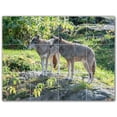 thumbnail image 1 of Picture-Tiles.com: Wolf Ceramic Tile Wall Mural WAL501236-43S. 17"W x 12.75"H using (12) 4.25" x 4.25" Ceramic Tiles-Satin Finish, 1 of 3