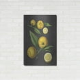 thumbnail image 3 of Luxe Metal Art 'Lemon Citrus' by lettered & lined, Metal Wall Art, 24"x36", 3 of 9