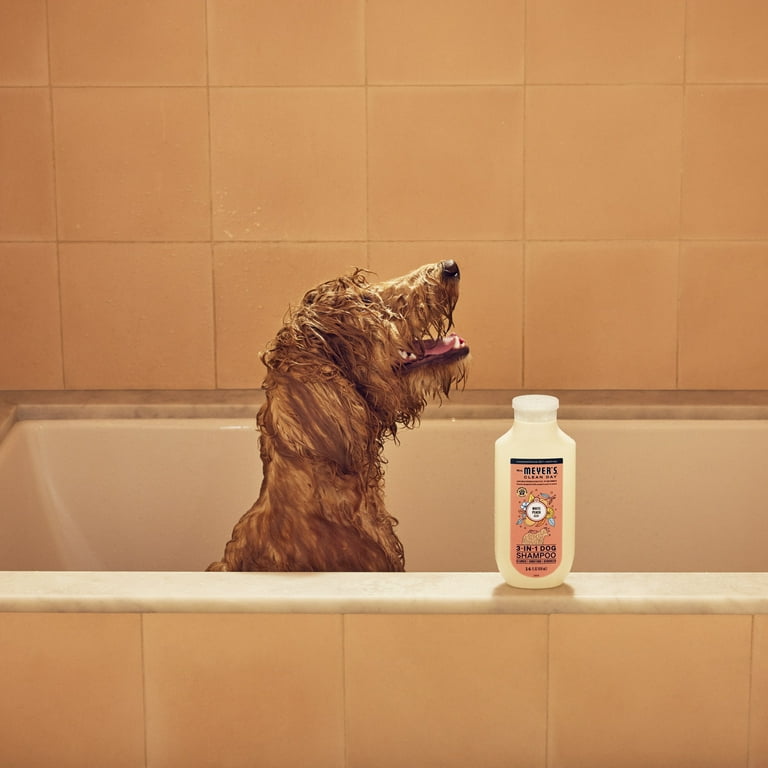 Meyer's Clean Day in Dog Shampoo, White Peach Scent, 14oz