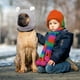 thumbnail image 5 of Orejeras para perros con protección acústica, gorros de punto para perros, orejeras cálidas para mascotas, gorro de invierno, gorro para perro, disfraz de conejito, 5 of 5