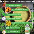 thumbnail image 3 of Fresh Healthcare Pure Premium Moringa 1000 Mg 180 Cápsulas, 3 of 3