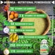 thumbnail image 3 of Fresh Healthcare Pure Premium Moringa 1000 Mg 180 Cápsulas, 3 of 3