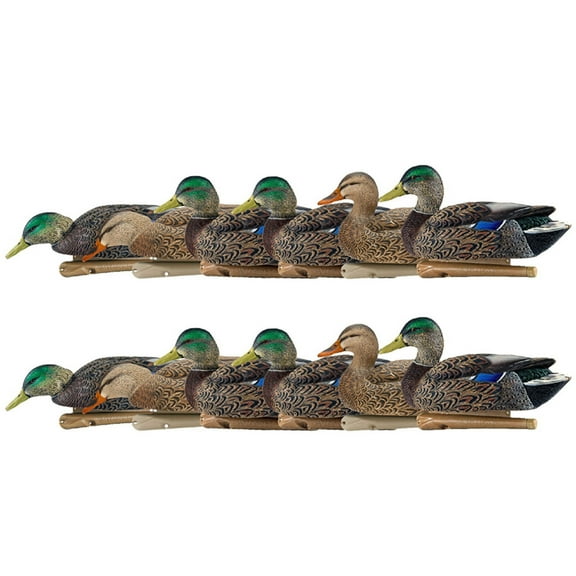 Avian X Topflight Early Season Mallard Duck Realistic Decoy, 12 Pack
