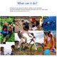 thumbnail image 5 of Brújula impermeable Buceo Brújula de muñeca Deportes al aire libre Emergencia Supervivencia Desprecio Profesional JFHHH pequeña, 5 of 5