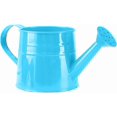 thumbnail image 3 of Watering Can Outdoor, 0.25 Gallon Metal Small Capacity Watering Can Indoor Plants with Sprinkler Head,Decorative Lightweight Durable Watering Cans for Garden Lawn Bonsai Greenhouse, 3 of 9