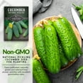 thumbnail image 4 of 3 Packs National Pickling Cucumber - Non-GMO Heirloom Vegetable Seeds - Full Sun Annual, 4 of 8