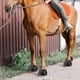 thumbnail image 4 of Protectores de Cascabel para Caballos, Botas de Cuidado para Caballos con Doble , Botas de Cascabel de Goma Sin Rozaduras para Caballos, Gancho de Envoltura Rápida XL, 4 of 7