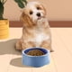 thumbnail image 5 of Cuenco para perros de alimentación lenta | Plato antideslizante para mascotas para razas pequeñas, medianas y grandes a prueba de derrames | Plato de plástico anti-trago azul, rosa, verde, blanco, 5 of 6