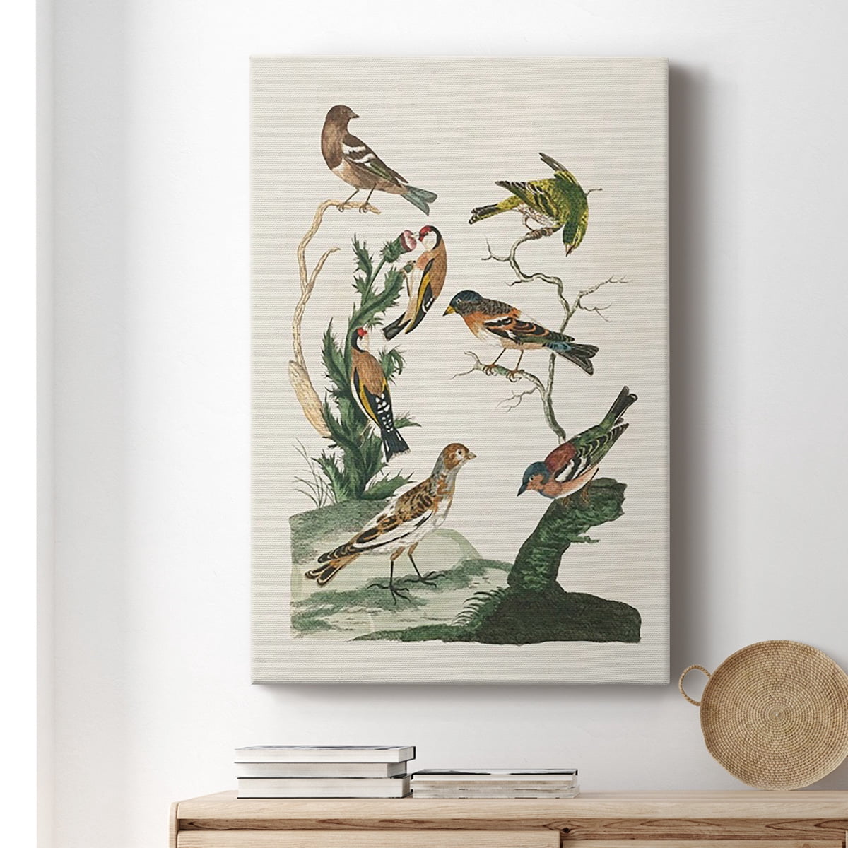 Antique Birds in Nature I Premium Gallery Wrapped Canvas - Ready to Hang