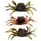 thumbnail image 1 of Señuelos 3 PCS 10cm 30g Señuelos de pesca suave Cebo artificial de cangrejo Cebo de pescado suave co Tomshoo Señuelos, 1 of 7