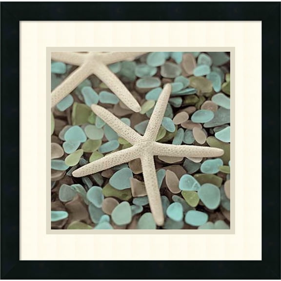 Amanti Art Framed Art Print 'Aquatic 1' by Alan Blaustein 18.25 x 18.25 Black