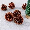 thumbnail image 3 of Piñas de pino secas naturales Ormromra 48 piezas decorativas, 3 of 5