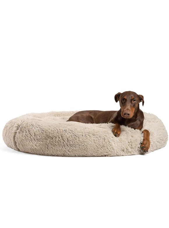 Large Dog Beds in Dog Beds