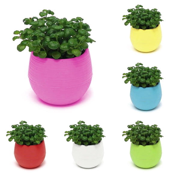Limei 5 Pack Cute Succulent Plants Flower Pot Saucer Tray Planter Home Desk Garden Decor